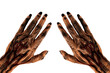 Scary monster hands isolated on a white background, cut out.