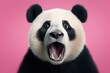 © Nijieimu - Funny surprised panda studio shot isolated bright color background