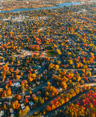 Wall Mural - canadian autumn in laval, quebec, aerial view
