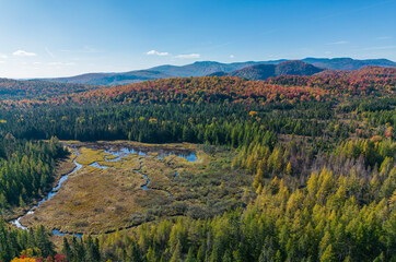 Wall Mural - autumn in mont tremblant national park, quebec, canada