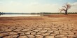 Dried lake and river on summer, Water crisis and Drouht impact case or climate change. : Generative AI