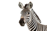 Fototapeta Konie - Close-up portrait of Zebra white background isolated PNG
