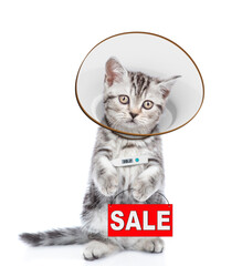 Poster - Cute tabby kitten wearing protective cone collar holds thermometer and shows signboard with labeled 