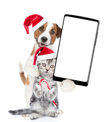 Poster - Happy Jack russell terrier puppy and funny cute kitten wearing santa hats standing together showing big smartphone with white blank screen in it paw. isolated on white background