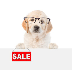 Poster - Smart Golden retriver puppy wearing eyeglasses shows signboard with labeled 