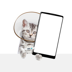 Poster - Cute tabby kitten with thermometer and protective cone collar on her neck  shows big smartphone with empty screen above empty white banner. Isolated on white background