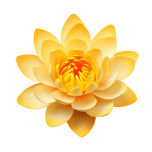 Yellow Lotus Isolated On Transparent Background,transparency 