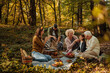 © bernardbodo - Whole Caucasian family having a picnic in the forest and having fun