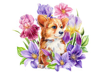 Puppy, Cute Baby Animal, Spring Flowers Irises And Clematis, Isolated White Background Watercolor Illustration. Postcard