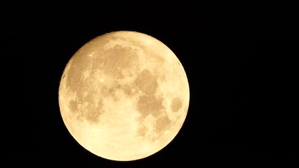Wall Mural - A glowing golden huge full moon seen from earth through the atmosphere against a starry night sky. A large full moon moves across the sky, the moon moving from the left frame to the right.