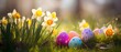 Ostereierpracht unter Sonnenstrahlen: Fröhliche Frühlingszeit