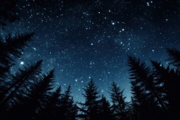 night sky in forest, view of star on night sky through tree brunches. AI Generative