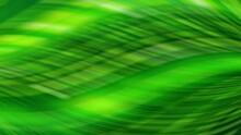 A Green Blurry Background With Green And White Colors