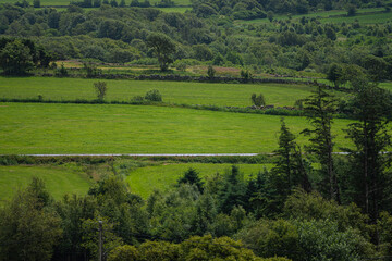 Sticker - Roads and stone fences between green fields.