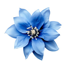 Wall Mural - isolated illustration of blue exotic flower. Created with Generative AI