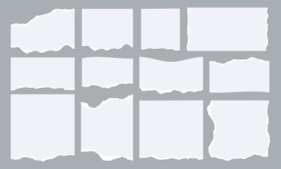 Poster - Notebook paper strips. Empty sheet borders with torn edges, torn blank pages with sticky spots for scrapbooking. Vector collection of border edge paper notebook illustration