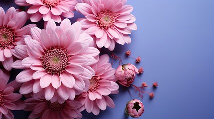 Wall Mural - Violet-pink gerbera flower on a background. Floral flower illustration. Generative AI