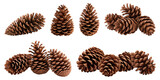 Fototapeta  - Pine cones isolated on transparent background