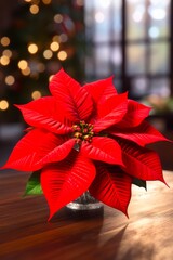 vibrant and festive christmas poinsettia plant with decorative ornaments on rustic wooden table