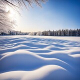 Fototapeta Konie - wonderful snow landscape