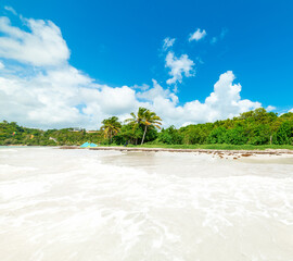 Blue sky over Pointe de la Saline beach in Guadeloupe