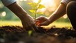 Business Leader Planting Tree Represents Corporate Social Responsibility and Commitment to Sustainability
