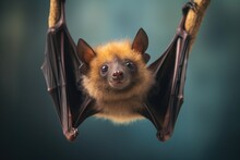  A Small Bat Hanging Upside Down On A Branch With Its Eyes Open.  Generative Ai