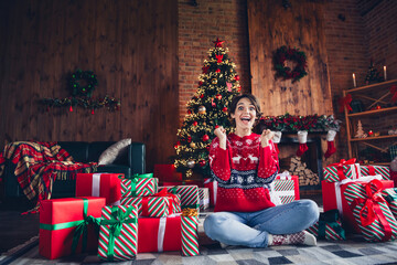 Poster - Photo of pretty young girl sit floor raise fists celebrate wear trendy red sweater festive interior living room presents christmas tree