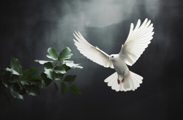 Peace illustrated by white dove. Green branch. Peace concept.