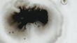 Paint spatter. Ink water drop. Wet dirt blotch. Defocused black fluid blob sprinkle motion on white grunge abstract background.