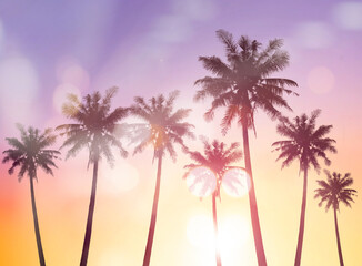 Wall Mural - tropical palm tree with colorful bokeh sun light on sunset sky cloud abstract background.