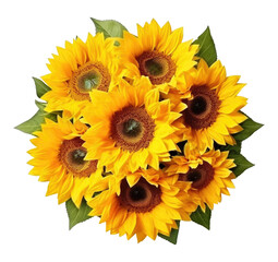 Wall Mural - Sunflower Bouquet Arrangement Isolated on Transparent Background
