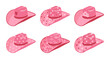 Set of pink cowgirl hats. Pink hats with hearts, stars, crown. Icons for kids. Vector