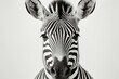 A captivating high-key portrait of a zebra against a clean white background. The zebra's bold stripes and alert expression create a sense of uniqueness and allure, highlighting the distinctive beauty