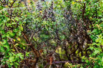 Oregon Water On Web