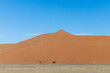 große Sanddüne in der Wüste, Namib