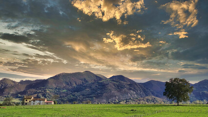 Wall Mural - Meadows and rural landscape near Tresali village, Nava municipality, Asturias, Spain