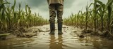 Fototapeta  - Farmer in flooded field with rubber boots and increasing crop failures due to torrential rain