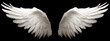 White angel or bird wings on black background
