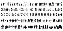Mega Big Set Of Business People Silhouette, Man And Woman Team, Isolated On White Background	