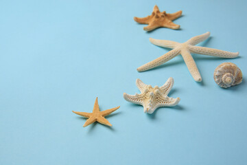 Wall Mural - Beautiful starfishes and sea shell on light blue background. Space for text