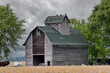 An old, weathered barn sits alone, except for three turkey vultures perched on the roof, among the open space of an Illinois farm. The scene appears foreboding due to forming storm clouds.
