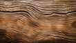 wooden trunk texture 3