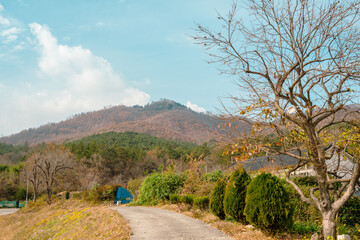 Sticker - Seoak-dong autumn mountain and country road in Gyeongju, Korea