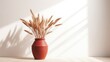 Minimalist interior decor idea with a red clay pot and dried wheat or rye bouquet in shadows on a white backdrop