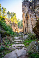 Wall Mural - Prachovske skaly in sun lights, Cesky raj sandstone cliffs in Bohemian Paradise, Czech Republic