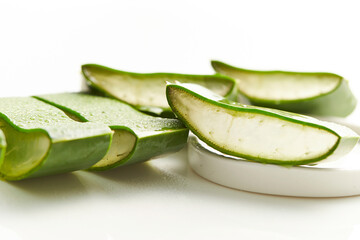 Sticker - aloe leaf, aloe vera slices	