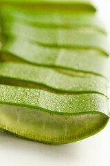 Sticker - aloe leaf, aloe vera slices