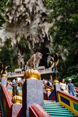 statue of buddha