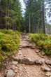 path in the woods Tatra National Park, Zakopane Poland. Kasprowy Wierch